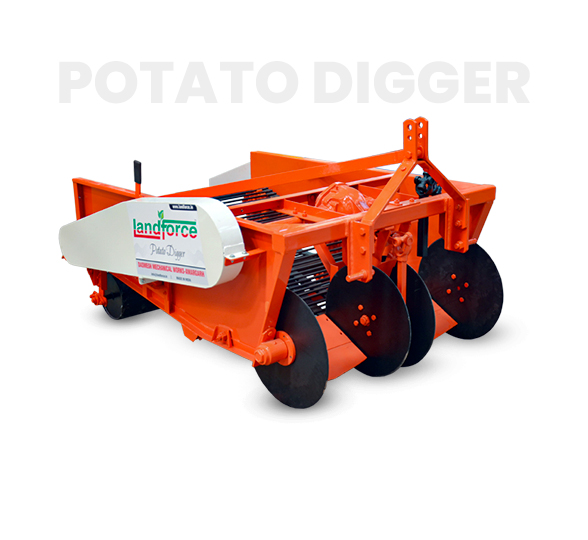 10-Deacetylbaccatin III